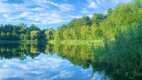 A peaceful lakeside view with gentle reflections